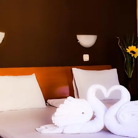 Alexander Hotel Sofie
