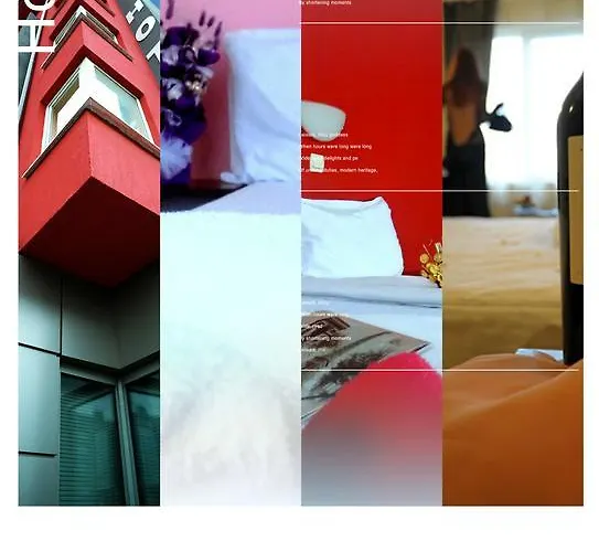 酒店 亚历山大酒店 索菲亞