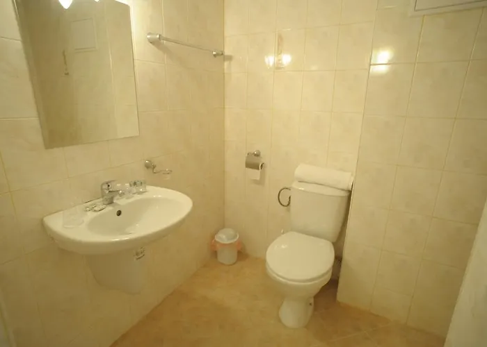 酒店 亚历山大酒店 索菲亞