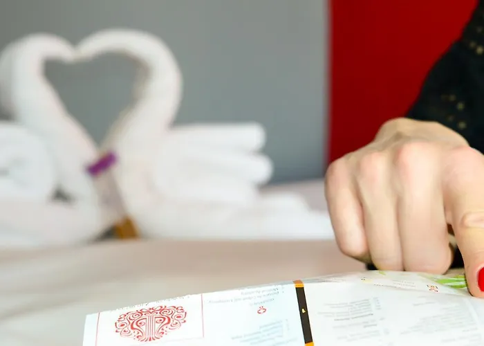 酒店 亚历山大酒店 3*