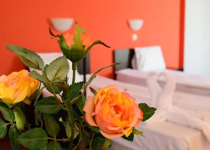 酒店 亚历山大酒店